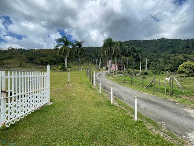 Interior Carr #969, Naguabo, PR 00718 - photo 2