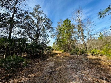 Vacant 1 62 Rd, Lamont, FL 32336 - photo 5