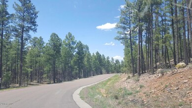 2321 S Bristle Cone Dr unit 345, Show Low, AZ 85901 - photo 4