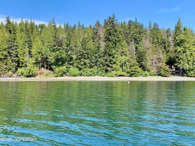 L3B2 Port Protection, Port Protection, AK 99000 - photo 3