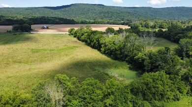 5600 Highway 50, Pelham, TN 37366 - photo 4