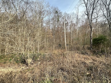 210 Trotter Rd, Waverly, TN 37185 - photo 3