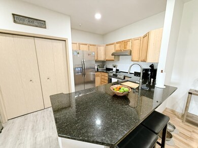 3848 Maple Grove Dr unit 105, Madison, WI 53719 - photo 3