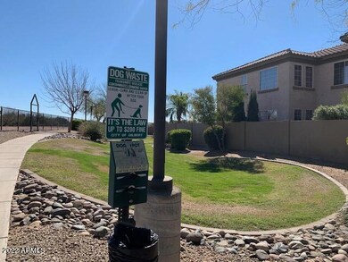 Park for Fido