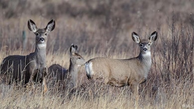 3190 Orange Lot C Rd, Niles, MI 49120 - photo 2