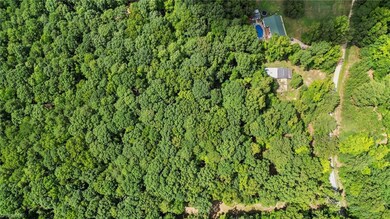 TBA Morgan St, Carthage, NC 28327 - photo 2