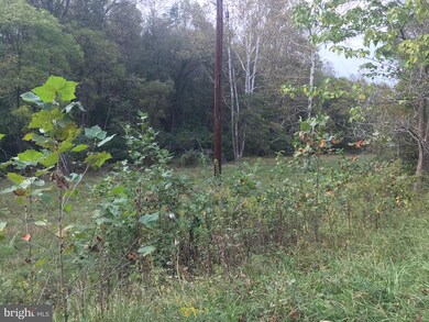 0 Brinkley Sperryville unit VARP2000412, Boston, VA 22713 - photo 3