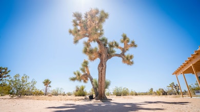 60010 Darlinda Dr, Yucca Valley, CA 92284 - photo 2