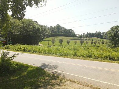 0 Addington Bridge Rd, Franklin, NC 28734 - photo 4