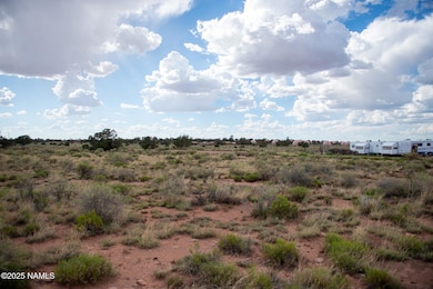 664 E Cimmaron Strip, Valle, AZ 86046 - photo 5