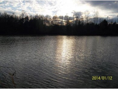 Back yard Lake View OH