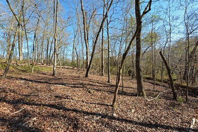 7900 Giorgio Cir, Ooltewah, TN 37363 - photo 3