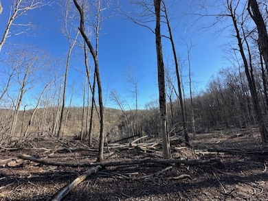 00 Garrett Ln, Allons, TN 38541 - photo 4