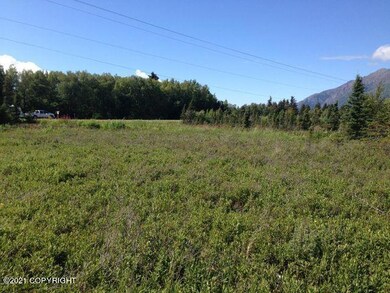 Mile 100 Seward Hwy.-o
