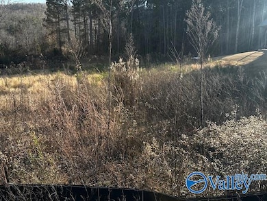 Lot 118 Cherokee Ridge Dr, Cherokee Ridge, AL 35175 - photo 3