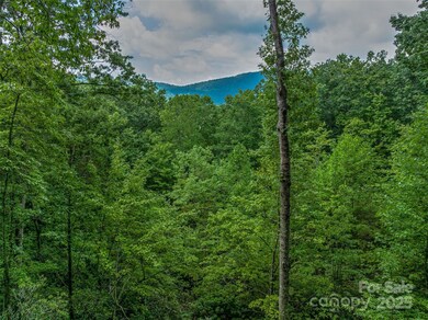 72 Smokey Ridge Trail unit 196, Arden, NC 28704 - photo 2