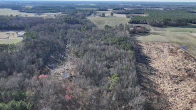 2233 Peanut Rd, Snow Hill, NC 28580 - photo 5