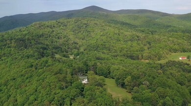 267 Alto Rd, Vesuvius, VA 24483 - photo 4