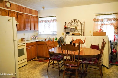 7958 Hebron Rd, Lexington, MS 39095 - photo 6