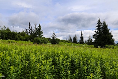 32800 Coyote Run Rd, Nikolaevsk, AK 99556 - photo 3