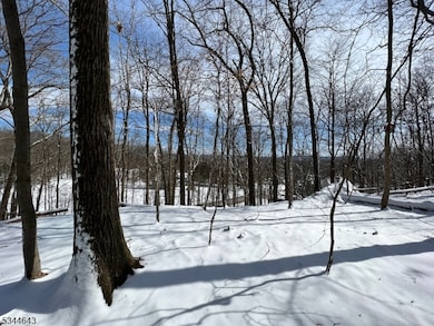 3 Kimble Ln, Sparta, NJ 07871 - photo 6