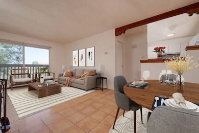 151 Calle Ojo Feliz unit T, Santa Fe, NM 87505 - photo 3