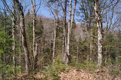 0 Kemp Hill Rd, Canaan, VT 05903 - photo 7