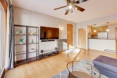 1715 Pavilion Way unit 206, Park Ridge, IL 60068 - photo 4