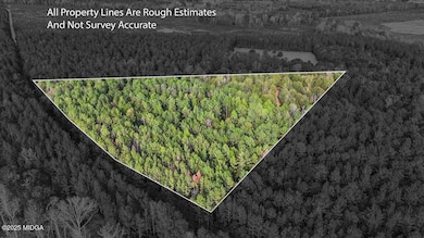 0 Massey Rd unit 182406, Tennille, GA 31089 - photo 3