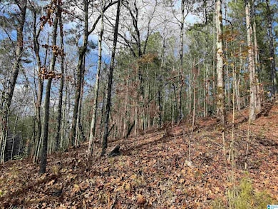 680 Sweet Apple Rd, Pell City, AL 35128 - photo 3