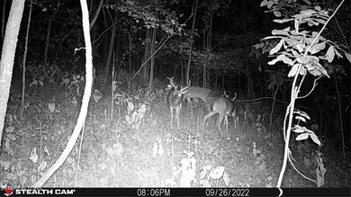 1803 Promiseland Rd, Blaine, TN 37709 - photo 7