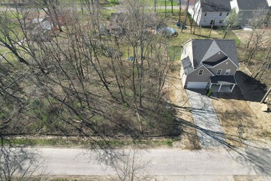 Ariel View