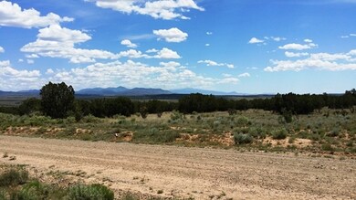 995 Ranch View Loop, White Oaks, NM 88301 - photo 3