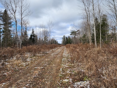 Lot 2 Greenleaf Brook Rd, Amity, ME 04471 - photo 3