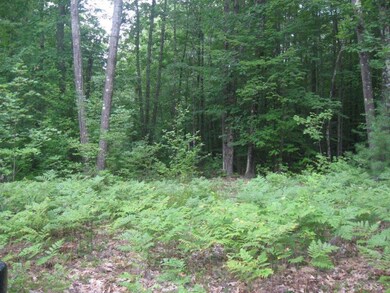 0 Wilderness Way unit 1525568, Lyman, ME 04002 - photo 6