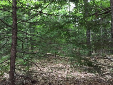 6 Ledgeside Ln, Plymouth, NH 03264 - photo 6