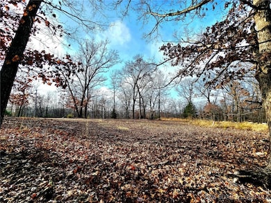 TBD Echo Valley Rd, Osage Township, MO 65072 - photo 2