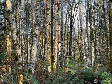 1 XX View Dr NE, Poulsbo, WA 98370 - photo 2