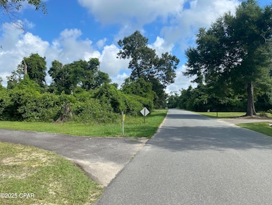 0000 Magnolia Blossom Ln unit 2, Marianna, FL 32446 - photo 2