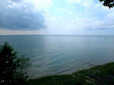 Lake Michigan Access