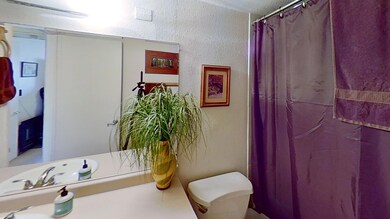 2040-S-Rural-Rd-Unit-C-Bathroom