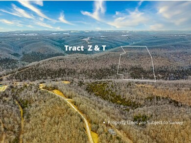 Table Rock Lake Acreage