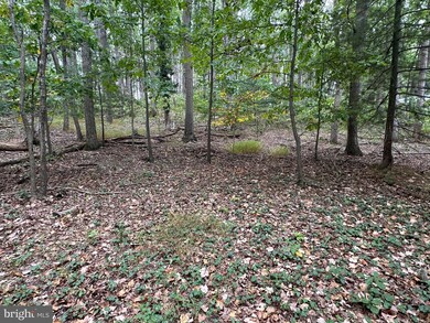 0 Salem Bottom Rd unit MDCR2030184, Westminster, MD 21157 - photo 7