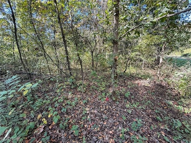 0 Country Rd, Rumley Township, OH 43986 - photo 3