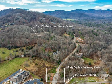 25 Autumn Shade Ct unit 75, Arden, NC 28704 - photo 5