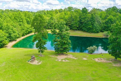 494 David Ball Rd, Maulden, KY 40486 - photo 6