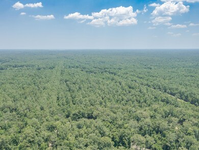 xx Acorn Dr, Crawfordville, FL 32327 - photo 3