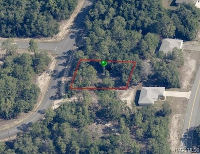 11373 N Kenney Loop, Citrus Springs, FL 34433 - photo 6