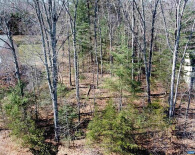 0 Lake Dr unit 627261, Ruckersville, VA 22968 - photo 3