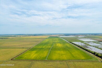 IntracoastalLodge.Rice-2